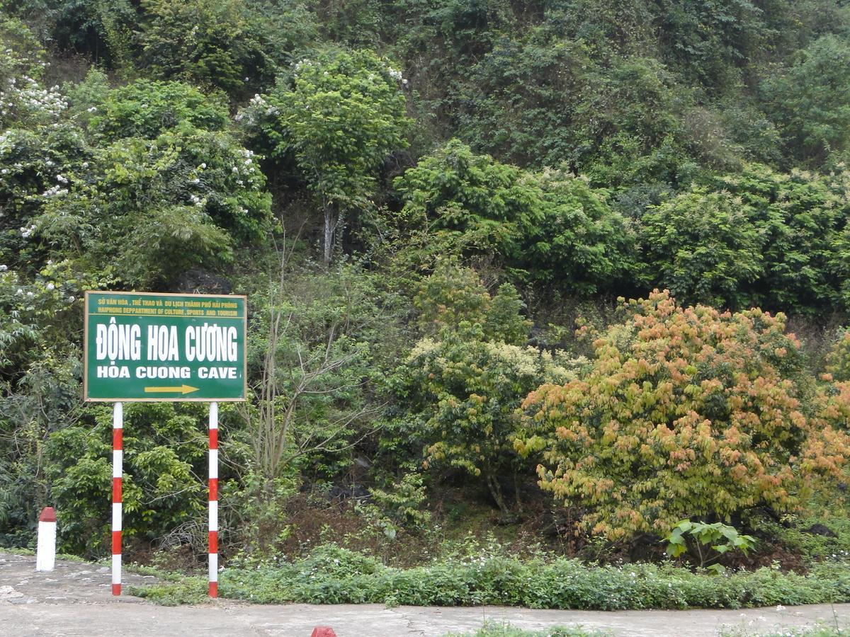 Anh Thuan Hotel 1 Кат-Ба Экстерьер фото